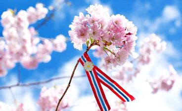 et flagg på en stang med blomster