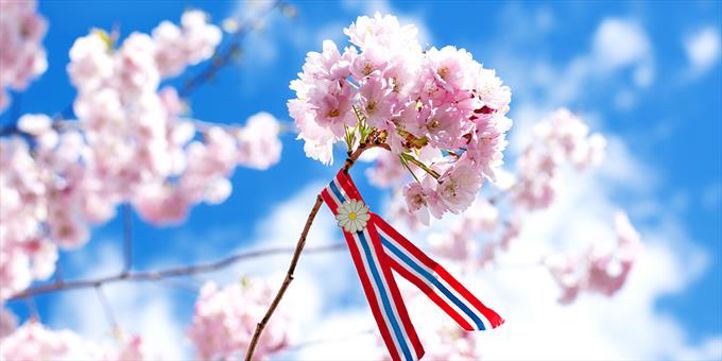 Foto: visitoslo.com et flagg på en stang med blomster